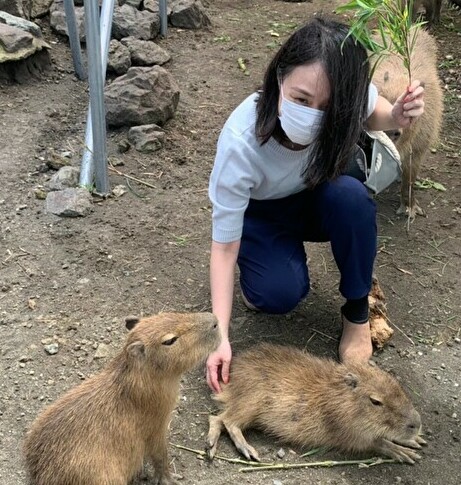 AI面接は敵じゃない